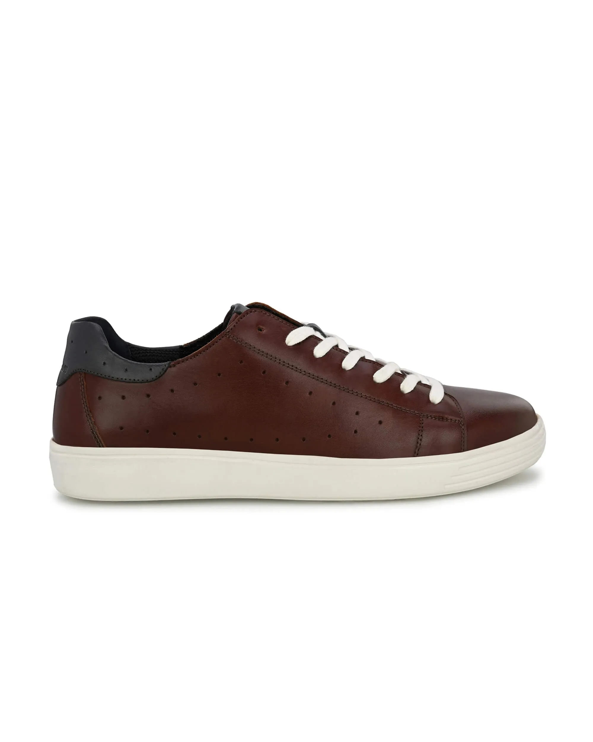 After Party Dark Brown