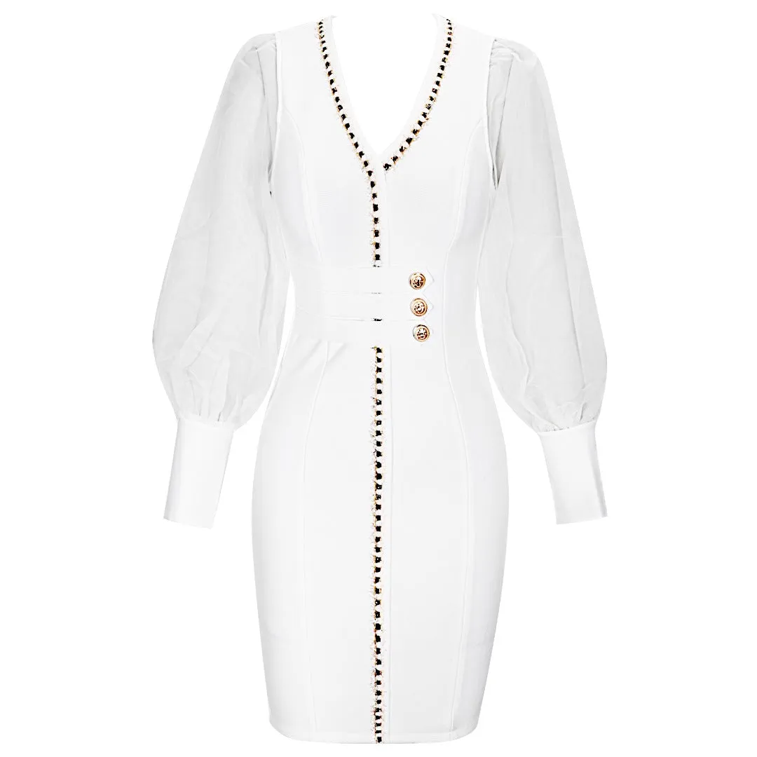 Black Sheer Long Sleeve Bodycon Dress