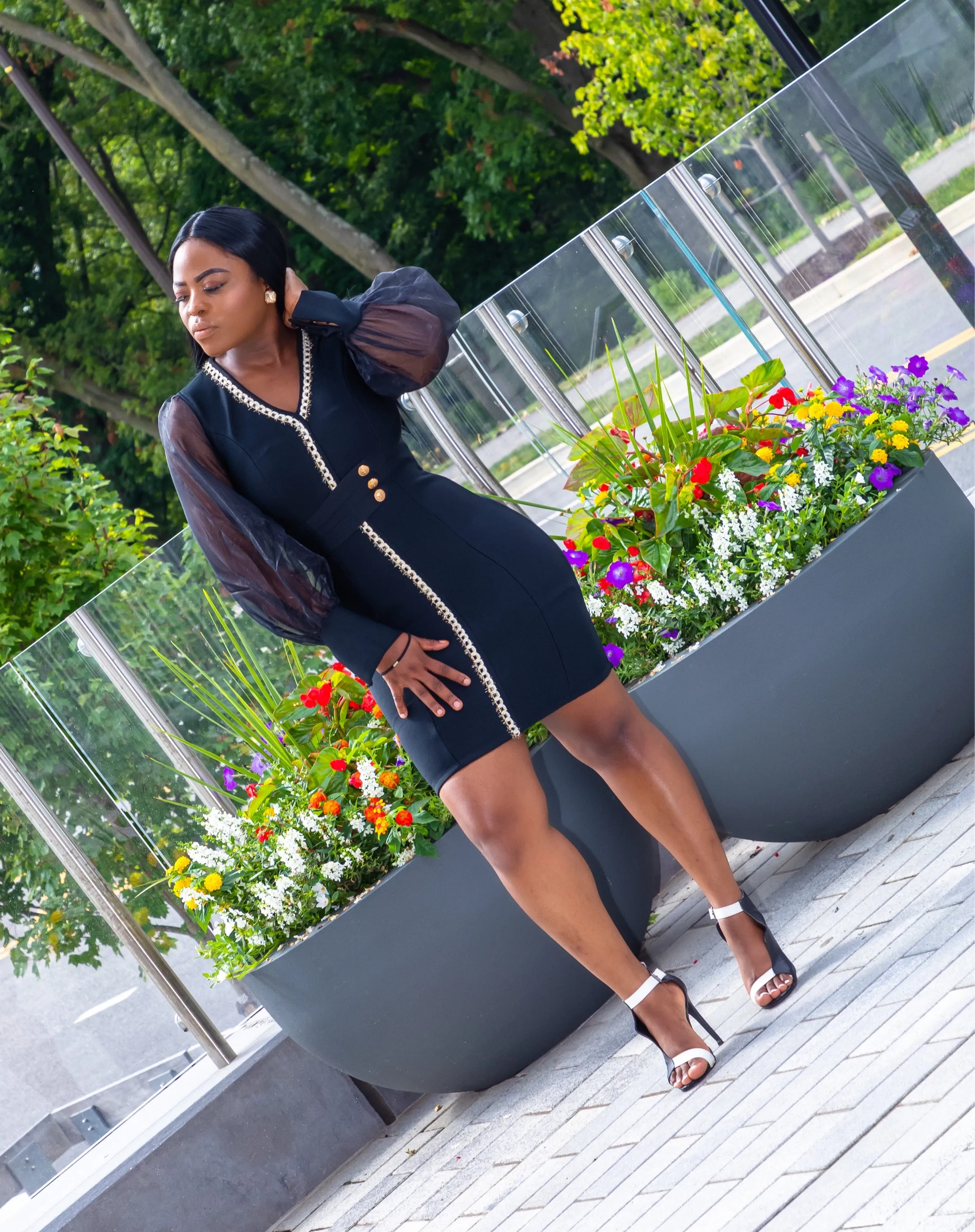 Black Sheer Long Sleeve Bodycon Dress