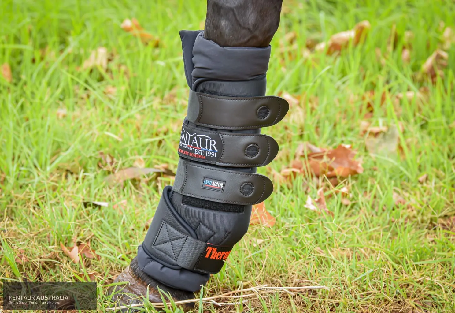 Kentaur ‘Therapy Wave’ Magnetic Hind Thermo-bandages